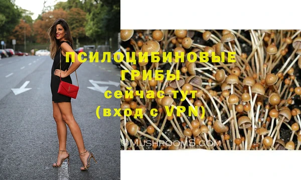 прущие грибы Алексин