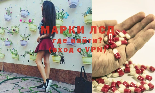 прущие грибы Алексин