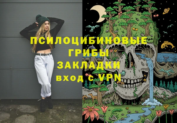 прущие грибы Алексин