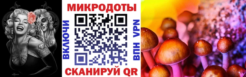Псилоцибиновые грибы MAGIC MUSHROOMS  Малаховка 